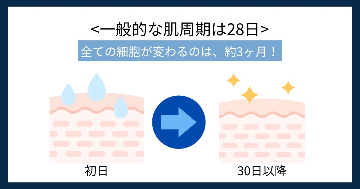 一般的な肌周期は28日の画像