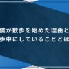 僕が散歩を始めた理由と散歩中にしていることとは？のアイキャッチ画像